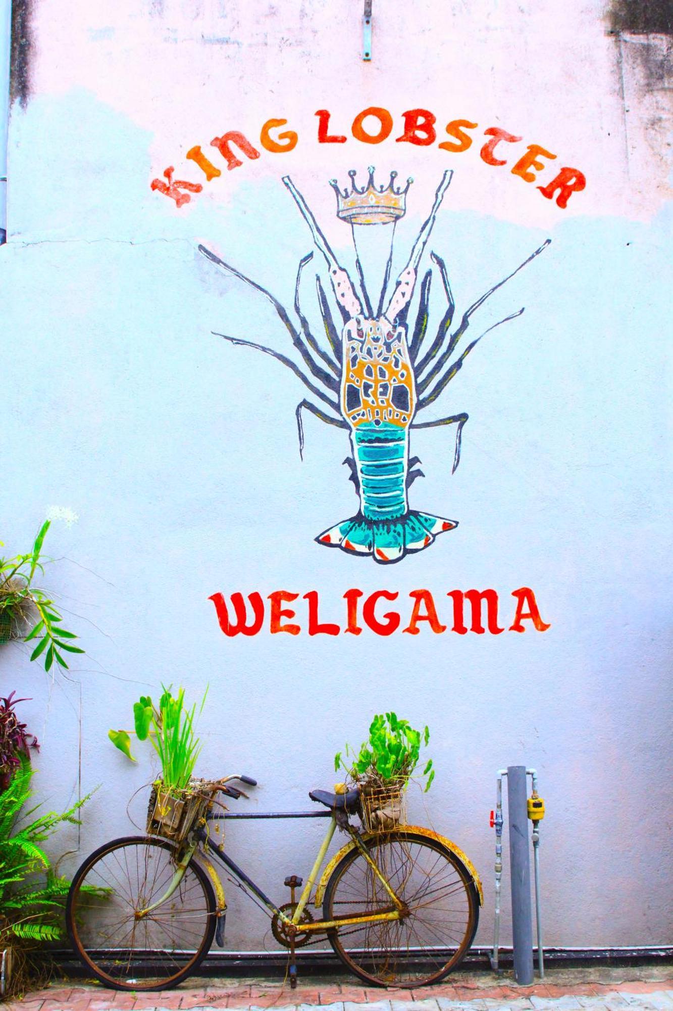 7Elements - Boutique Hotel & Restaurant Weligama Exteriör bild